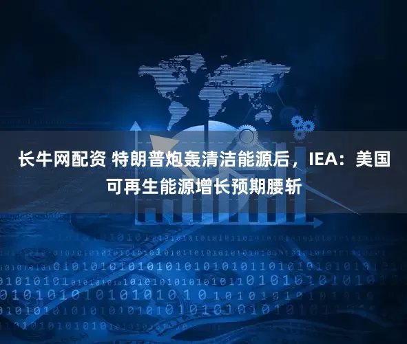 长牛网配资 特朗普炮轰清洁能源后，IEA：美国可再生能源增长预期腰斩
